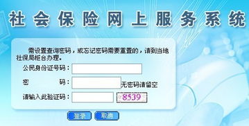 東莞社保個人賬戶查詢與社會經(jīng)濟咨詢服務(wù)指南