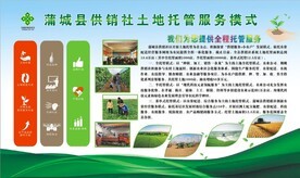 農(nóng)業(yè)托管服務(wù) 從概念到實(shí)踐的全方位視覺指南與資源寶庫